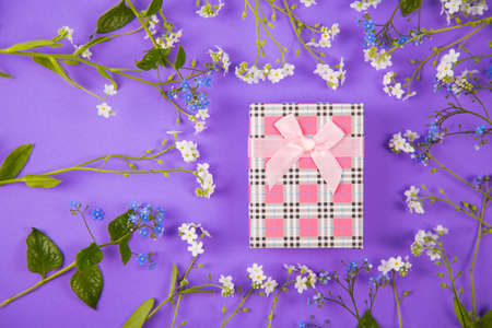 Pink gift box surrounded with blue and white little flowers on purple background. Spring present with flower frame.の写真素材