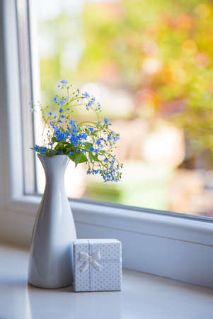 Blue Brunnera flowers in white vase with gift box near window. Spring composition in daylight.の写真素材