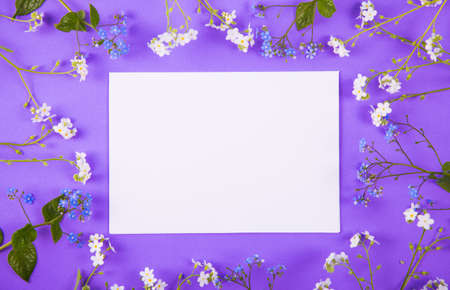 Clear sheet of white paper surrounded with blue and white little flowers on purple background. Spring card with empty space. の写真素材