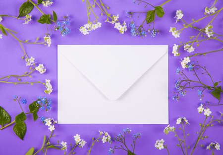 White envelope surrounded with blue and white little flowers on purple background. Spring card with flower frame.の写真素材