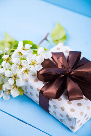 Pretty spotted gift box surrounded with blooming white apricot branches on blue wooden background. Spring composition.の写真素材