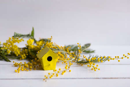 Little yellow birdhouse with mimosa branches on white wooden background. Spring composition.の写真素材