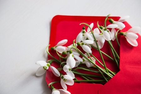 Bouquet of beautiful tender white snowdrops in red envelope on white wooden background. Spring...