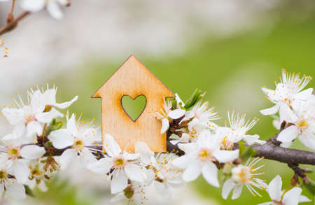 Wooden house with hole in form of heart surrounded by flowering branches of spring trees. Spring composition.の写真素材