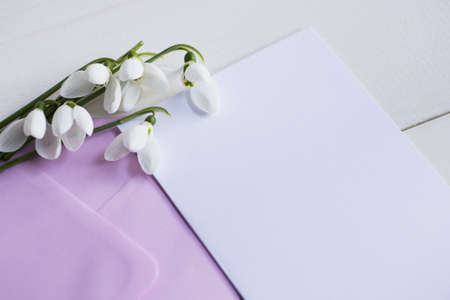 Bouquet of beautiful tender white snowdrops with clear paper sheet and lilac envelope on wooden background. Spring composition.の写真素材