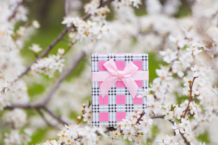 Beautiful gift box surrounded by flowering branches of spring trees.の写真素材