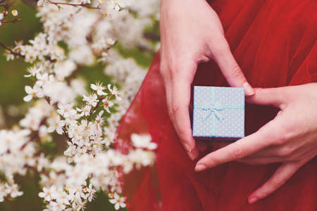 Young female hands holding beautiful gift box on red dress with blooming branches on background. Vintage colors.の写真素材