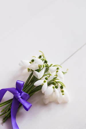 Bouquet of beautiful tender white snowdrops with purple ribbon on white wooden background. Spring composition.の写真素材