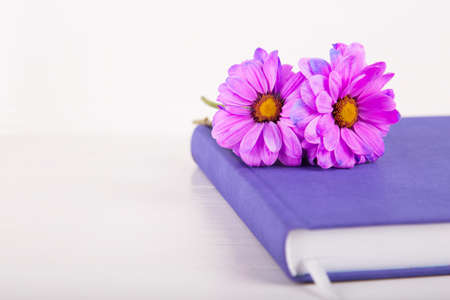 Two purple chrysanthemum flowers on violet closed notebook on white wooden background.の写真素材