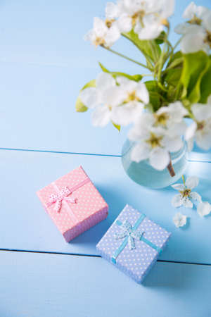 Two little gift boxes with beautiful bouquet of white flowers of blooming cherry branches on blue wooden background. Spring festive composition.の写真素材