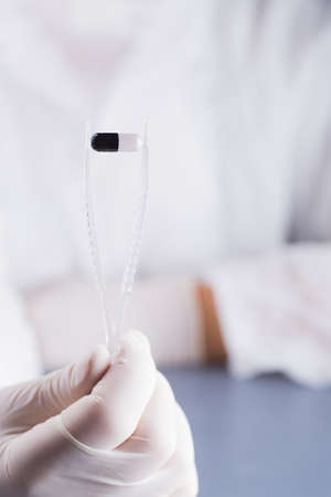 Hand in latex glove holding tweezers with black and white capsule. Study of medicine. Pharmaceutical research.の写真素材