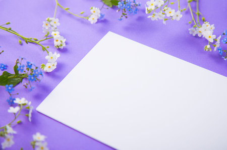 Clear sheet of white paper surrounded with blue and white little flowers on violet background. Spring card with empty space.の写真素材