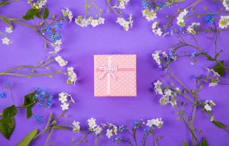 Pink gift box surrounded with blue and white little flowers on violet background. Spring present with flower frame.の写真素材