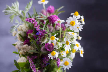 Festive spring bouquet of chamomiles and various herbs indoor on dark background.の写真素材