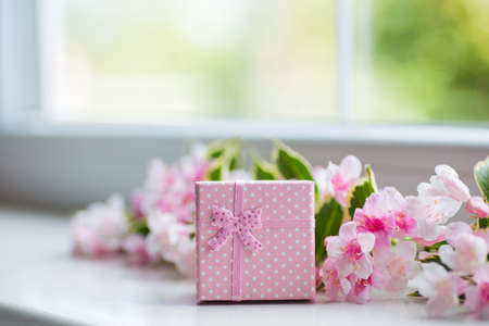 Pink gift box with blooming tender Weigela branch near window in daylight. Spring composition.の写真素材