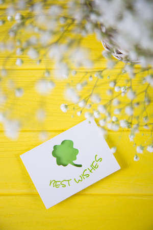 Greeting card with four-leaf clover and fresh bouquet of white gypsophila on yellow wooden background. Concept of St.Patrick's Day giftの写真素材