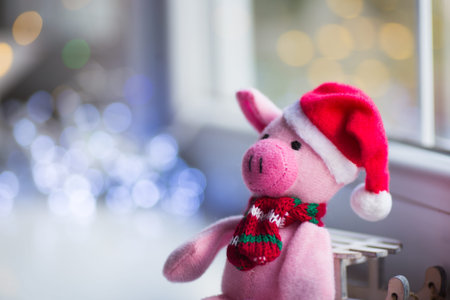 Closeup toy pig in Santa hat and scarf sitting near window in daylight with garland lights on background. Symbol of Chinese New Year.の写真素材