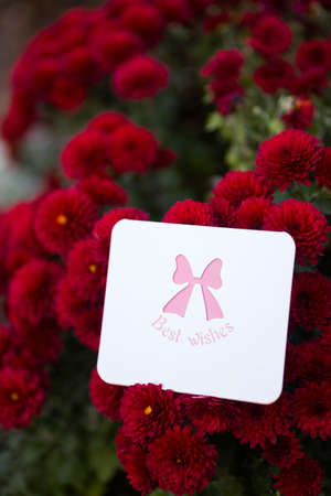 Tender greeting card with best wishes surrounded by flowers of red chrysanthemum. St. Valentine day romantic gift.の写真素材
