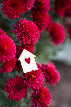 Wooden house icon with hole in form of heart surrounded by flowers of red chrysanthemum. St. Valentine day romantic floral composition.の写真素材