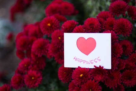 Greeting romantic card with heart surrounded by flowers of red chrysanthemum. St. Valentine day present.の写真素材