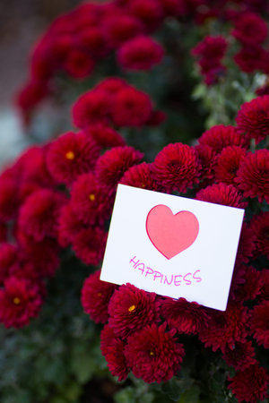 Greeting romantic card with heart surrounded by flowers of red chrysanthemum. St. Valentine day gift.の写真素材