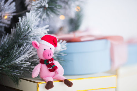 Cute toy pig in Santa hat and scarf sitting near Christmas fir-tree and gift box. Symbol of Chinese...