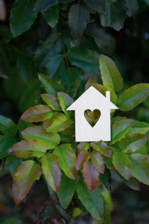 Wooden house icon with hole in form of heart surrounded by green leaves outdoor. Concept of love for the environment and nature. Ecological banner with copy space.の写真素材