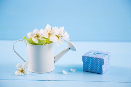 Little white watering can with spring flowers and gift box on blue wooden background. Women or...