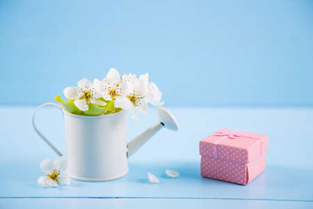 Little white watering can with spring flowers and pink gift box on blue wooden background. Women or Mother day card with copy space.の写真素材