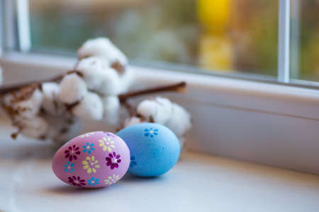 Two painted blue and purple Easter eggs near window in daylight with blurred cotton branch on background. Home cozy spring composition with copy space.の写真素材