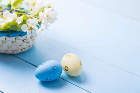 Two painted blue and yellow Easter eggs near basket with white spring flowering branch on light blue background. Easter in Ukraine.の写真素材