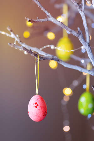 Decorated colorful Easter egg hanging on tree branch indoor with warm bokeh on background. Spring home decor with garland lights, copy space.の写真素材