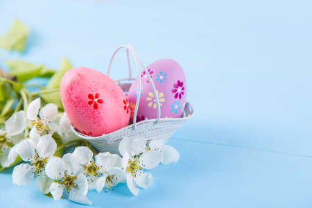 Two painted pink and purple Easter eggs in basket with white spring cherry flowers on light blue background. Copy space.の写真素材