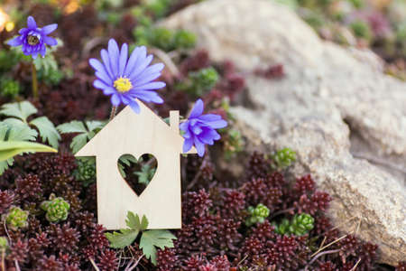 Closeup wooden house with hole in form of heart with purple spring flowers. Natural composition with copy space. Concept of sweet home.の写真素材