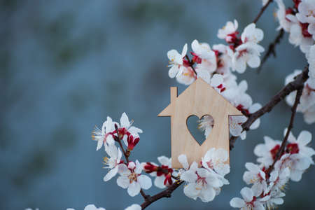 Closeup wooden house with hole in form of heart surrounded by white flowering branches of spring trees. Spring vibrant composition with copy space. Concept of sweet home.の写真素材