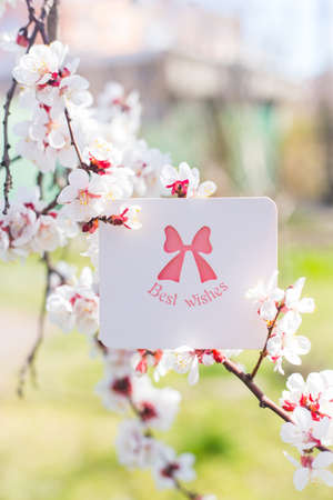 Greeting card with best wishes surrounded by flowering branches of spring trees. Spring vibrant composition with copy space. Mother day present.の写真素材