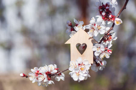 Closeup wooden house with hole in form of heart surrounded by white flowering branches of spring trees. Spring vibrant composition with copy space. Concept of sweet home.の写真素材