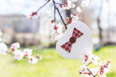 Gift box in shape of heart surrounded by flowering branches of spring trees. Spring vibrant composition with copy space. Mother day present.の写真素材