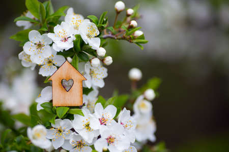 Closeup wooden house with hole in form of heart surrounded by white flowering branches of spring trees. Spring vibrant composition with copy space. Concept of sweet home.の写真素材