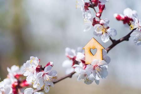 Closeup wooden house with hole in form of heart surrounded by white flowering branches of spring trees. Spring vibrant composition with copy space. Concept of sweet home.の写真素材