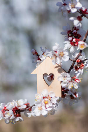 Closeup wooden house with hole in form of heart surrounded by white flowering branches of spring trees. Spring vibrant composition with copy space. Concept of sweet home.の写真素材