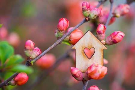 Closeup wooden house with hole in form of heart surrounded by pink flowering branches of spring trees. Spring vibrant composition with copy space. Concept of sweet home.の写真素材
