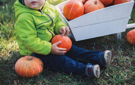 Toddler boy holding orange pumpkin and sitting near white decorative wooden cart full of orange...