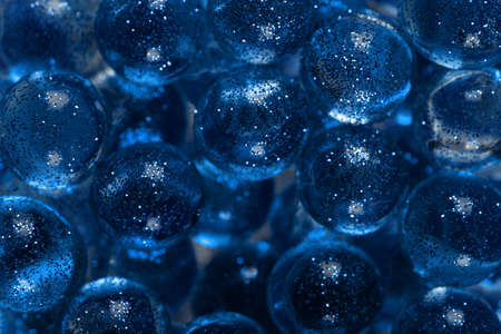 Closeup many transparent balls sprinkled with sparkles. Trendy banner with color of the year 2020 - Classic Blue. Modern and abstract background with glitter, copy space.の写真素材