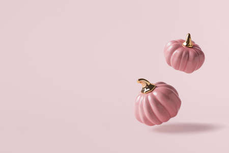 Flat lay pattern from white and pink decorative autumn pumpkins on beige background in hard lightの写真素材