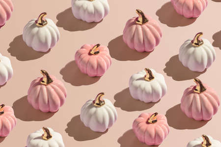 Flat lay pattern from white and pink decorative autumn pumpkins on beige background in hard light. Seasonal banner concept.の写真素材