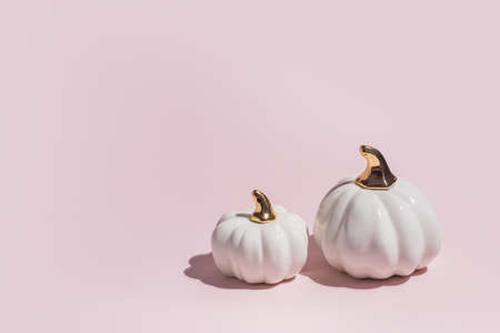 Two decorative pumpkins on lilac and purple background in hard light with copy spaceの写真素材