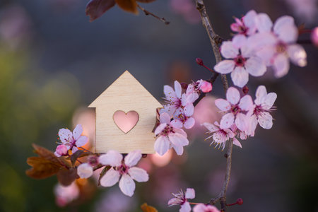 Wooden house with hole in form of heart surrounded by flowering branches of spring trees. Spring composition. Concept of sweet home.の写真素材