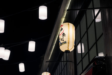 White asian paper lantern in night sky