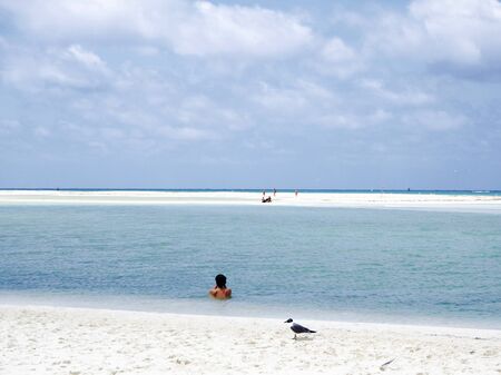 Paradise beach in Cayo Largoの写真素材